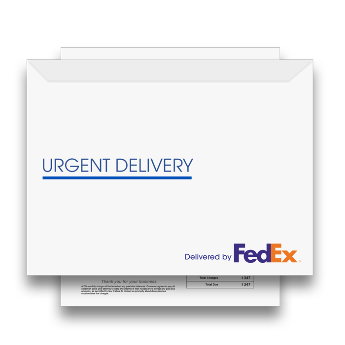 Example FedEx 2Day envelope.